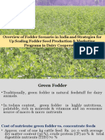 RCDF Overview of Fodder - 14.12.2019