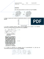 Ingenieria de Polimeros 2021 1 Examen Final Problemas