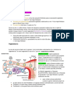 Segmentarea: Perioada Pre Implantationara Perioada Post Implantationala Perioada Fetala