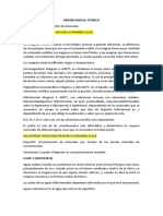 Resumen - DepositosMinerales - 2021 - 2T