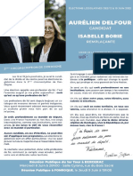 Programme D'aurélien Delfour, Candidat LR