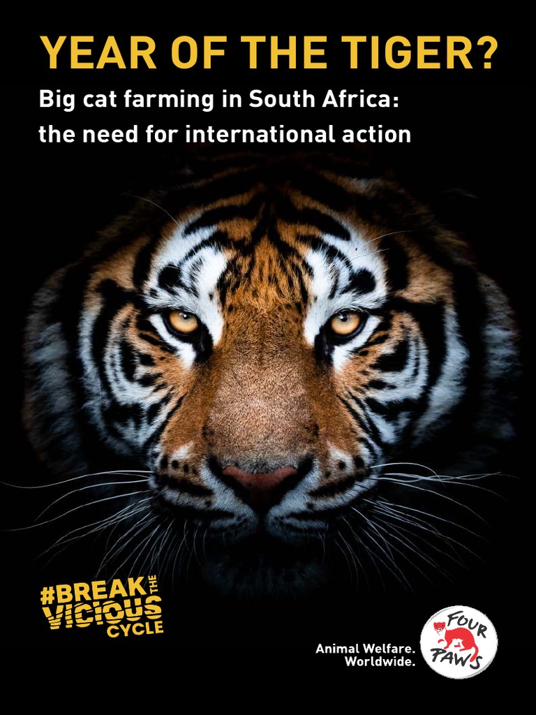 FOUR PAWS Year of The Tiger Report | PDF | Panthera | Cites