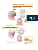 Semiologia Cabeza