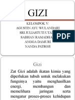 Gizi