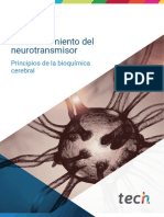 M3T7 - Neuropsicología