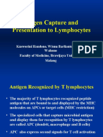 Antigen Capture and Presentation