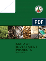 Investment Projects Compendium 2021