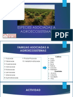 Especies Asociadas A Agroecosistemas