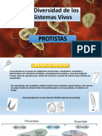 Clase 6 C - Protistas