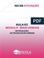 Aula 02 - Vendas - Mariane Bertoti