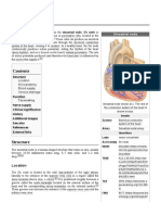 Sinoatrial - Node - PDF Wiki