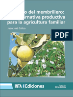 Cultivo del membrillero alternativa agricultura familiar