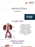 2 - Função Renal e Urina Tipo 1