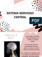 Sistema Nervioso Central