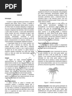 3259724 Biologia Morfologia Vegetal Caule