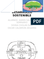 DESARROLLO SOSTENIBLE