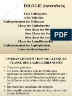 PDF TP 02 Lamellibranches pp.1 22