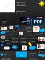 Sistema Nervioso Central