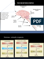 Sistema Neuroendocrino