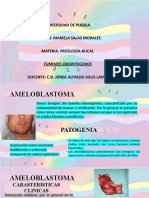 Uni 9 Patologia