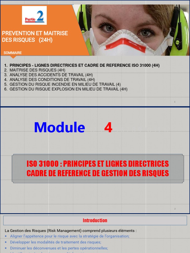 Gestion des Risques selon ISO 31000 | PDF | Risque | Gestion des risques