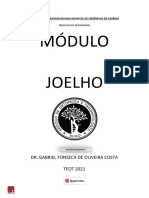Joelho TEOT 2021 - Resumo Do Moquinha