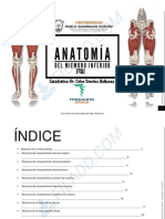 Anatomia Humana I Musculos Miembro Infer