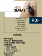 Doença de Chagas: transmissão, sintomas e controle