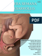 Informe - Procesual 3 - Tercera Semana de Desarrollo