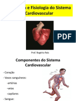   Anatomia e Fisiologia do Sistema Cardiovascular + Sistema Hematopoiético