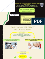 Evaluación Del Efecto de La Infección-Bioseguridad - Grupo 3