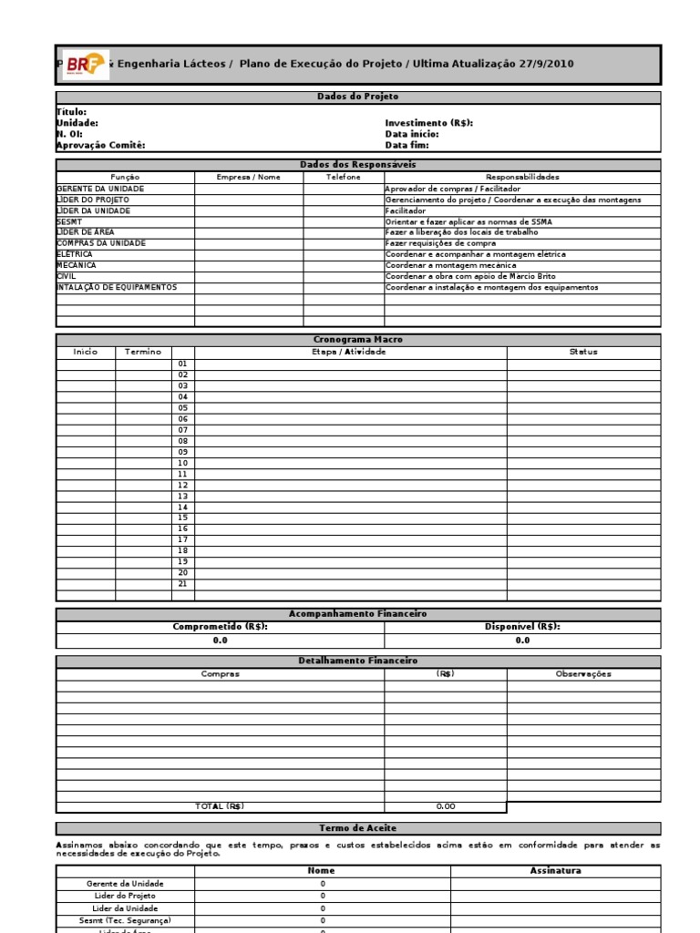 Plano de Execução Do Projeto (Modelo) | PDF | Negócios | Tecnologia e ...