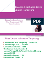 Program Lansia-Kab - TGR