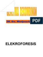 Pakai 1 - Elektroforesis