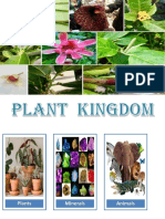 Plant Kingdom