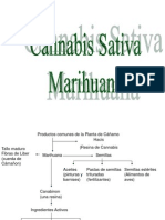 Presentacin de La Marihuana 1210161486964081 9