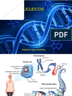 1-07 Acidos Nucléicos