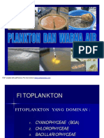 Plankton Warna Kapur