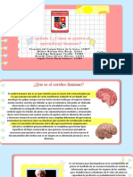 Trabajo en Neuroeducacion