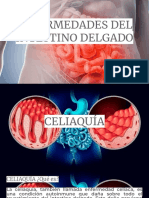 Enfermedades Intestino Delgado