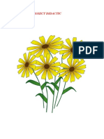Crizantema+Tufănica Observare