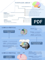 Relaciones Funcionales - 2.0