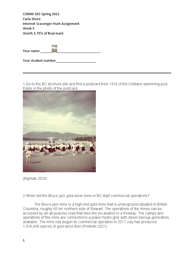 Internet Scavenger Hunt Assignment Revised | PDF