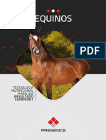 Folder_Equinos_2020_web
