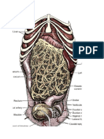 Imagenes de Anatomia