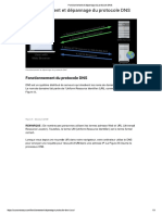 Fonctionnement Et Dépannage Du Protocole DNS