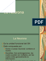 La Neurona