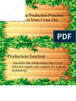 Defining The Production Function: What Goes in Must Come Out