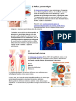 Enfermedades Intestinales