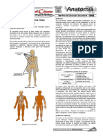 Anatomía - 1° - SEGUNDO MANUAL